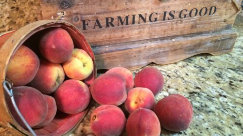 Braune Farms Peaches