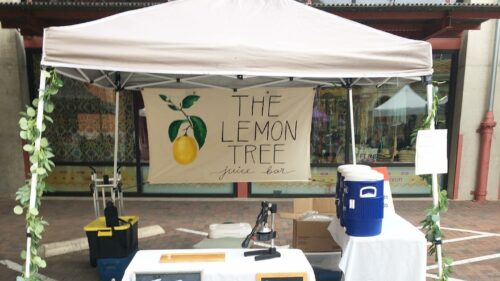 The Lemon Tree Juice Bar