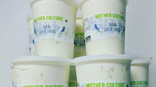Mother Culture Greek Yogurt